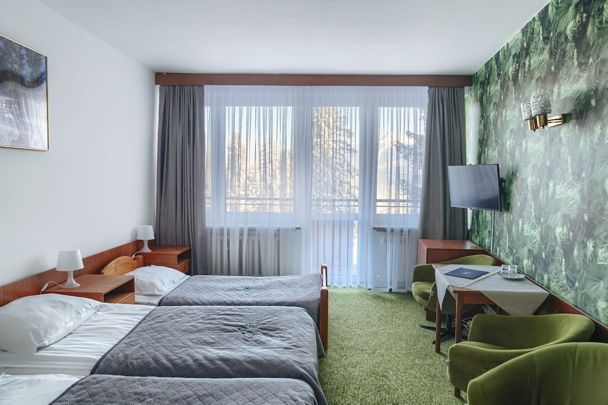 Een hotelkamer met twee bedden, een bureau met een televisie en een groen vloerkleed.