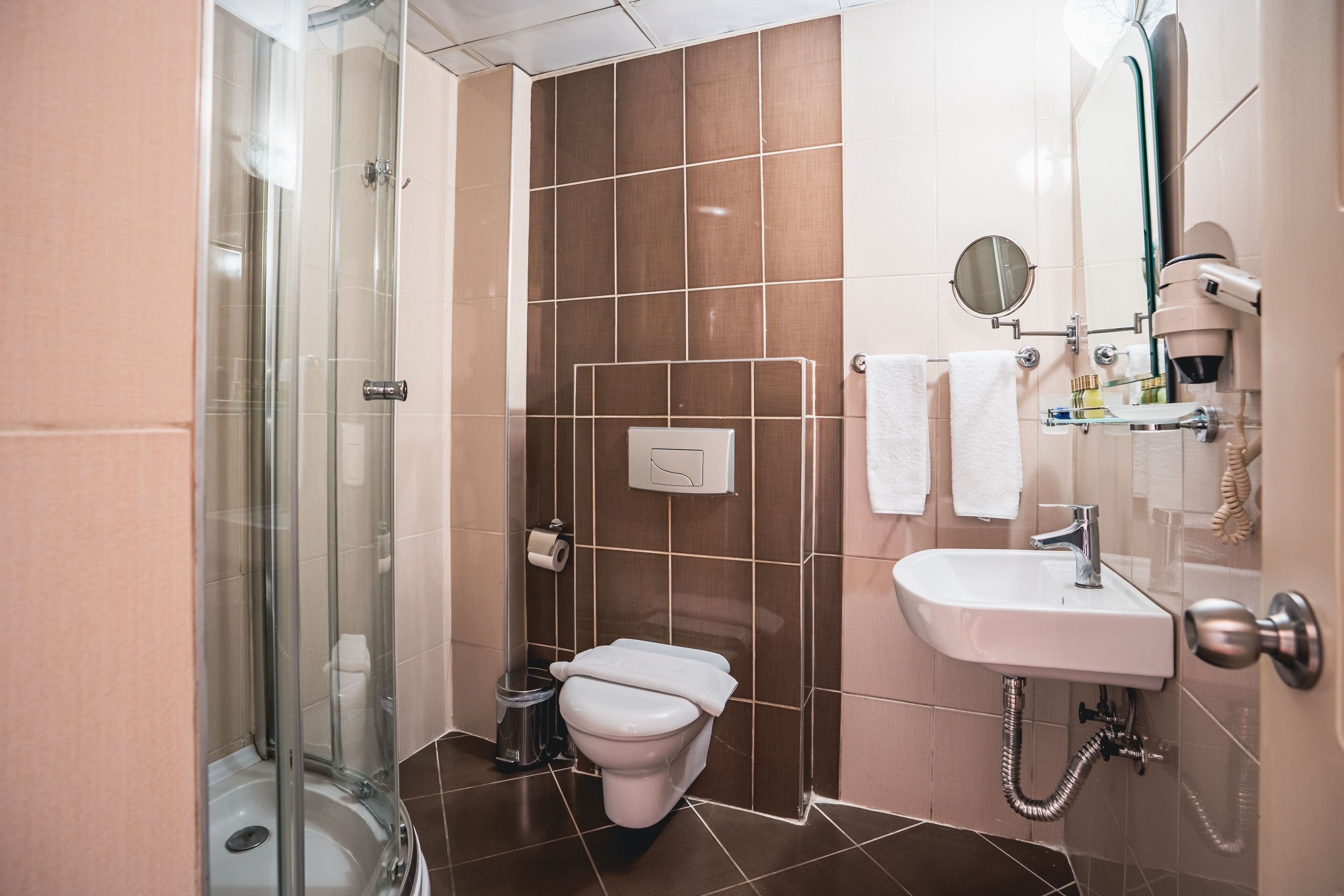 A bathroom with a glass-enclosed shower, a white toilet, a sink, and a mirror.