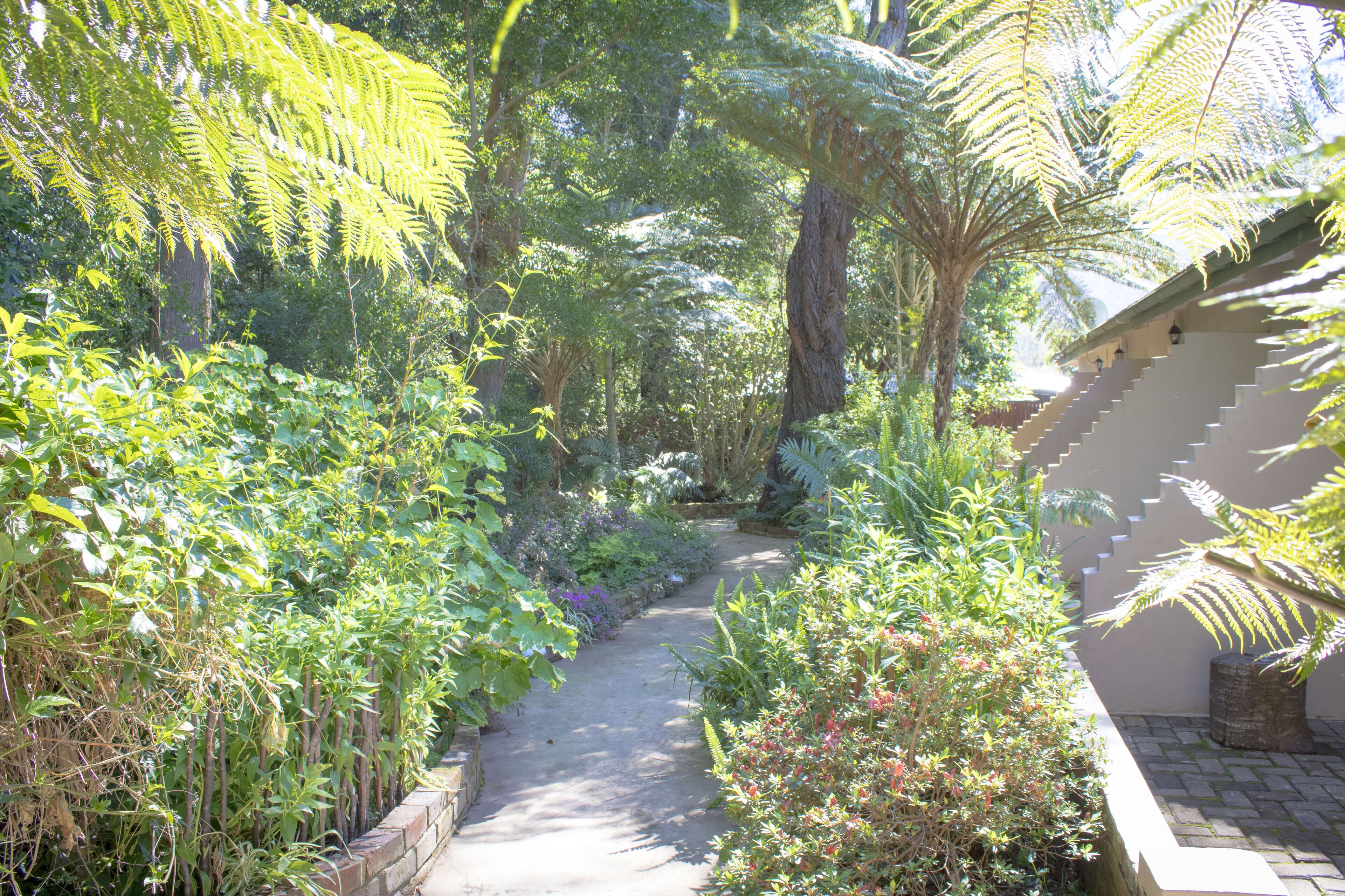 A narrow garden path flanked by lush greenery and a building with a sloped roof.
