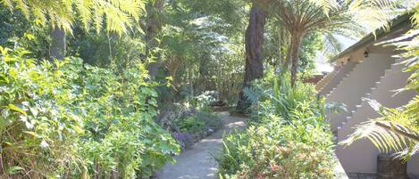 A narrow garden path flanked by lush greenery and a building with a sloped roof.