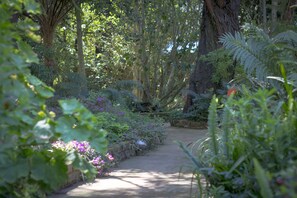 Garden - Andelomi Forest Lodge (Storms River)