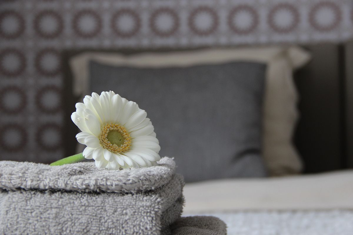 Een witte bloem op een gevouwen handdoek in een kamer met behang met een patroon en een bed met een witte hoofdbord.