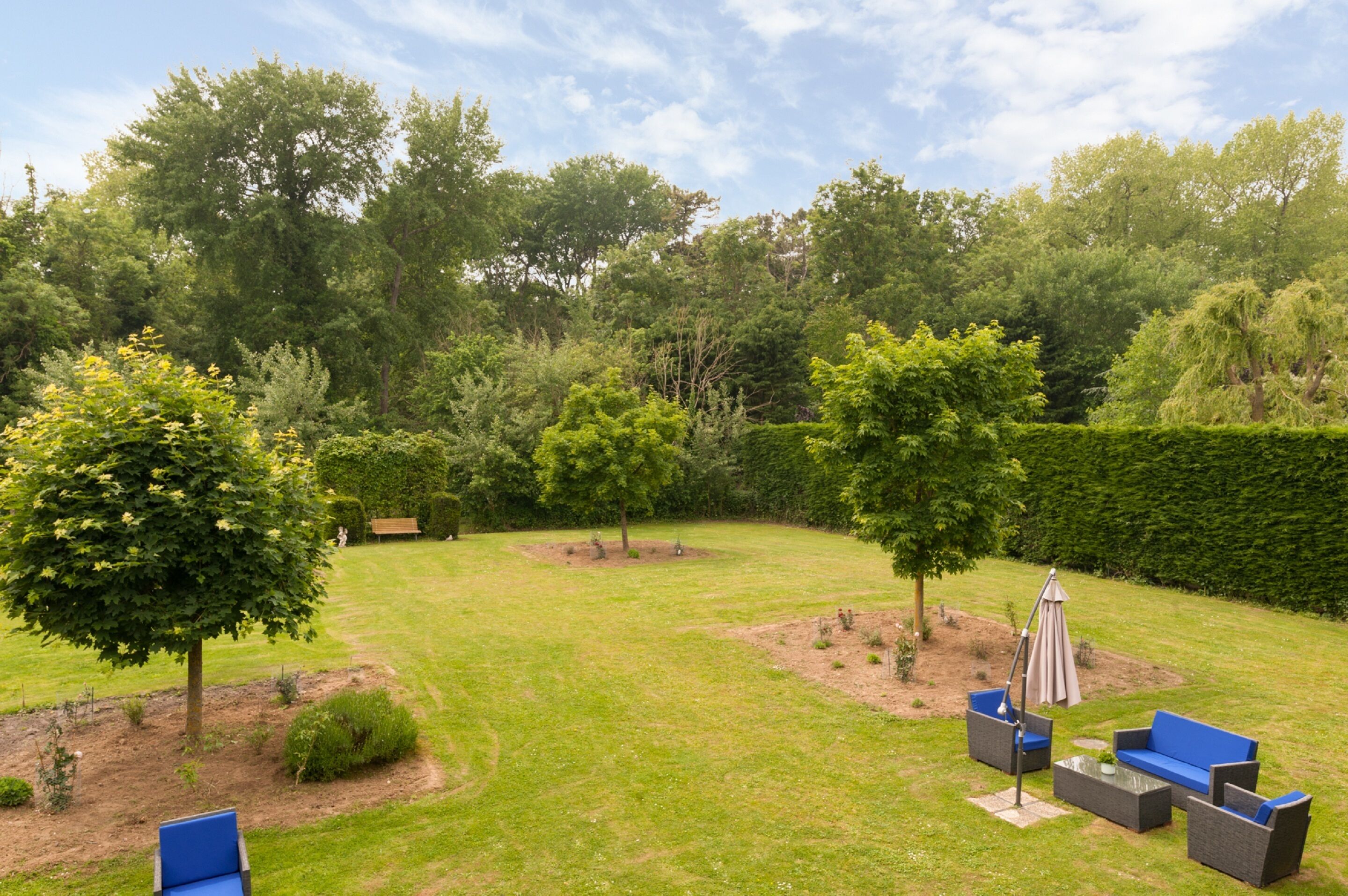 A well-maintained garden with a lawn, a bench, and outdoor furniture.