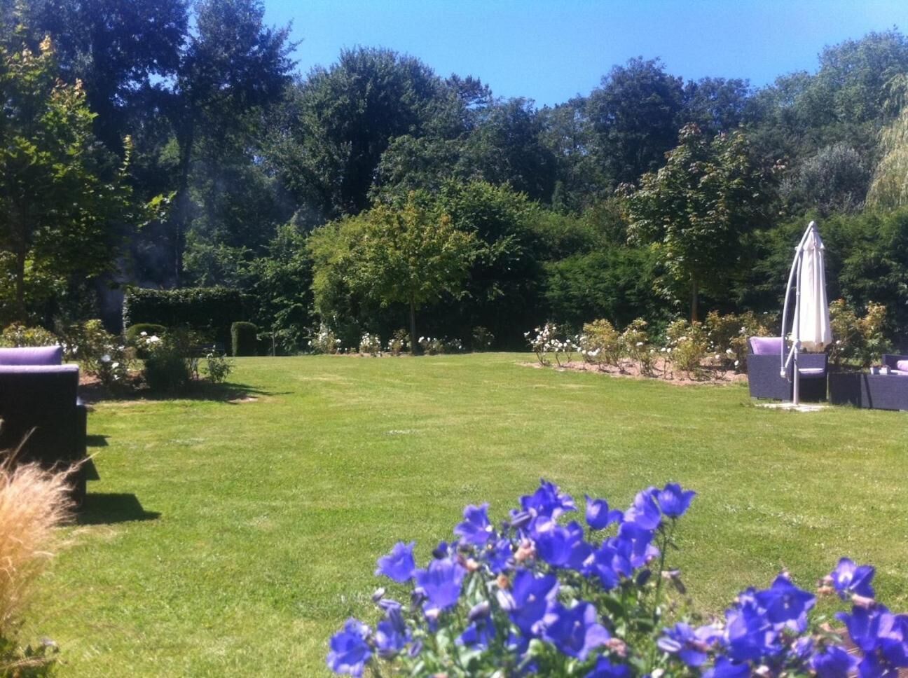Un jardin bien entretenu, avec une pelouse, un espace aménagé pour s’asseoir et une pergola.