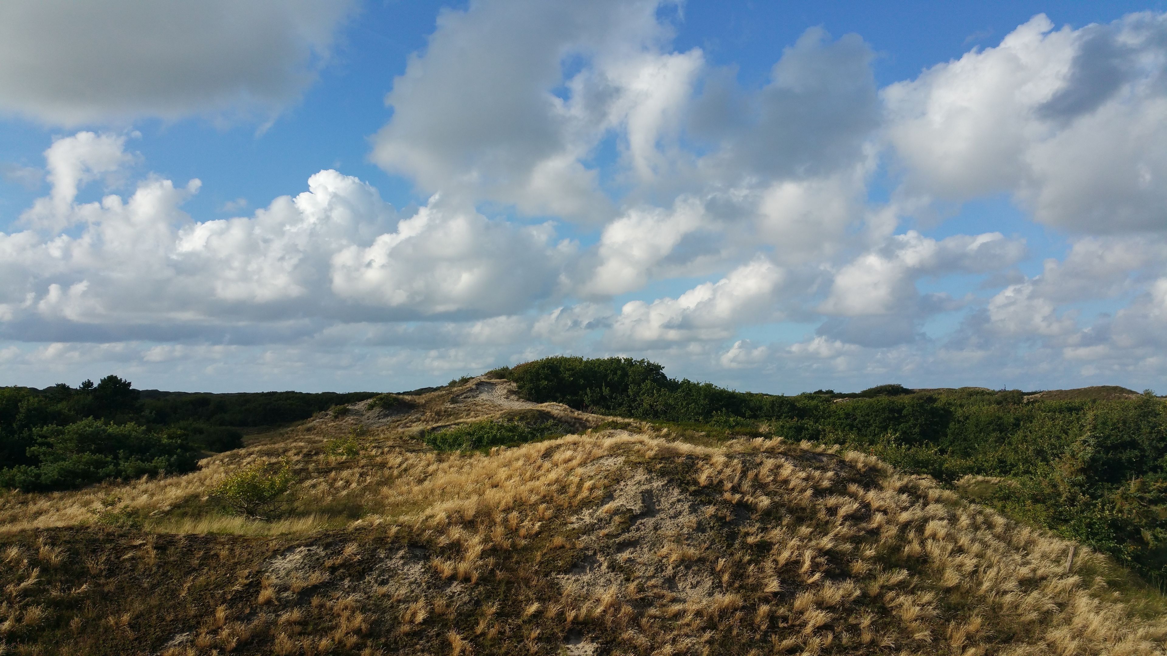 superior double room (in main or annex building) | view from room