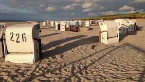 A row of numbered beach huts on a sandy beach with a cloudy sky.