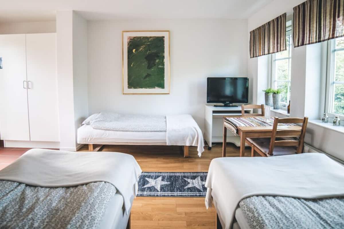 triple room | 1 bedroom, cots/infant beds, free wifi, bed sheets