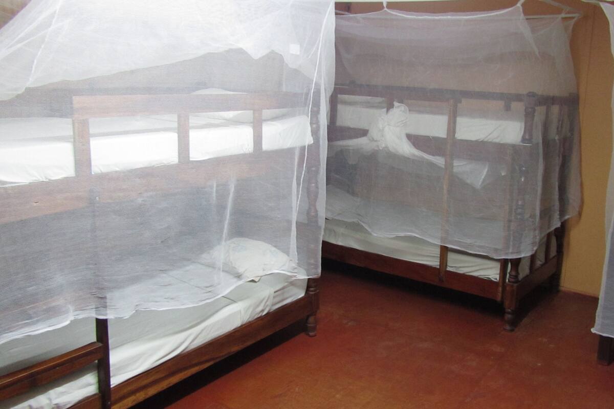 Three wooden bunk beds with mosquito netting, arranged in a row with a plain wall and carpeted floor.