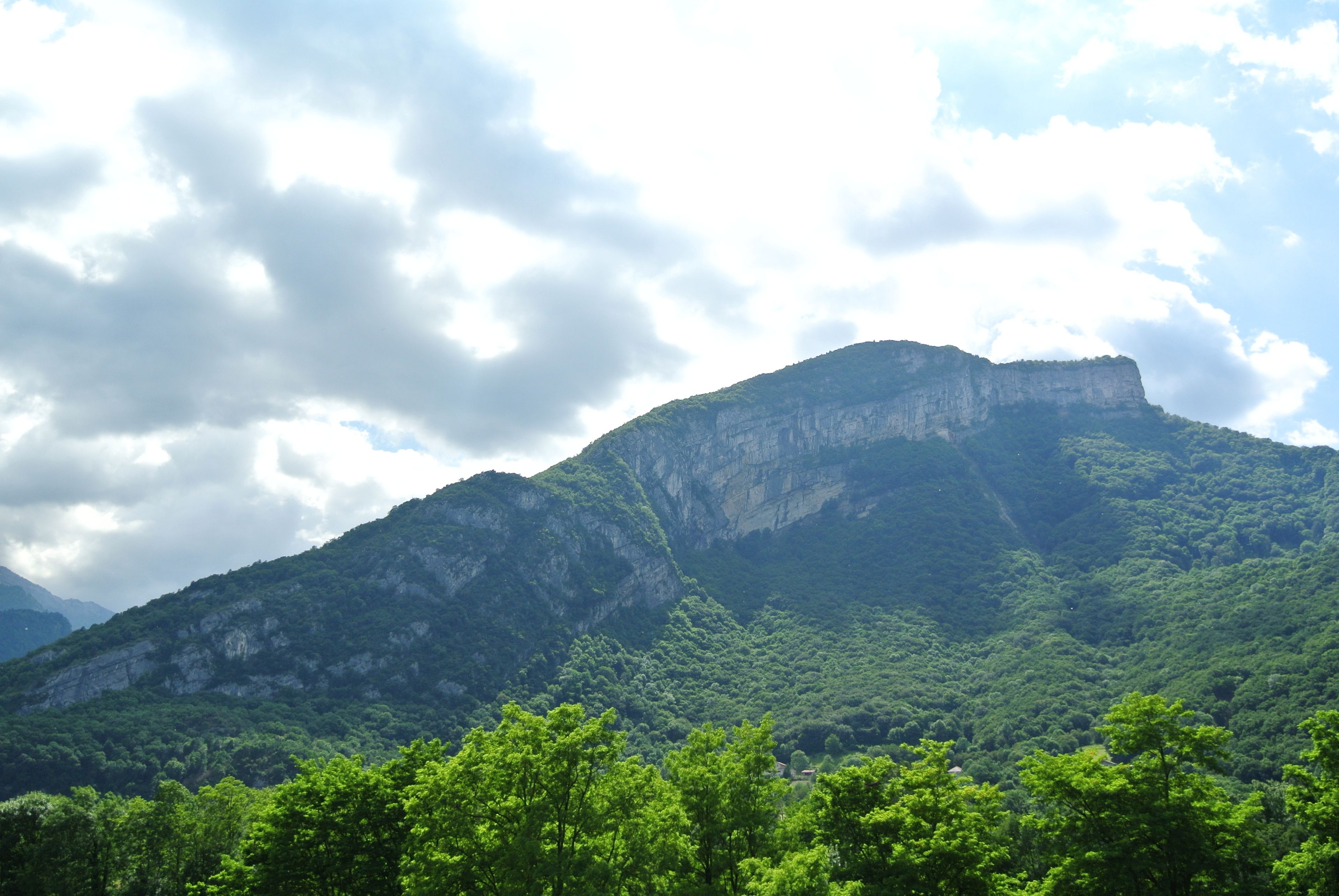 Una montaña con un denso bosque verde en su base.