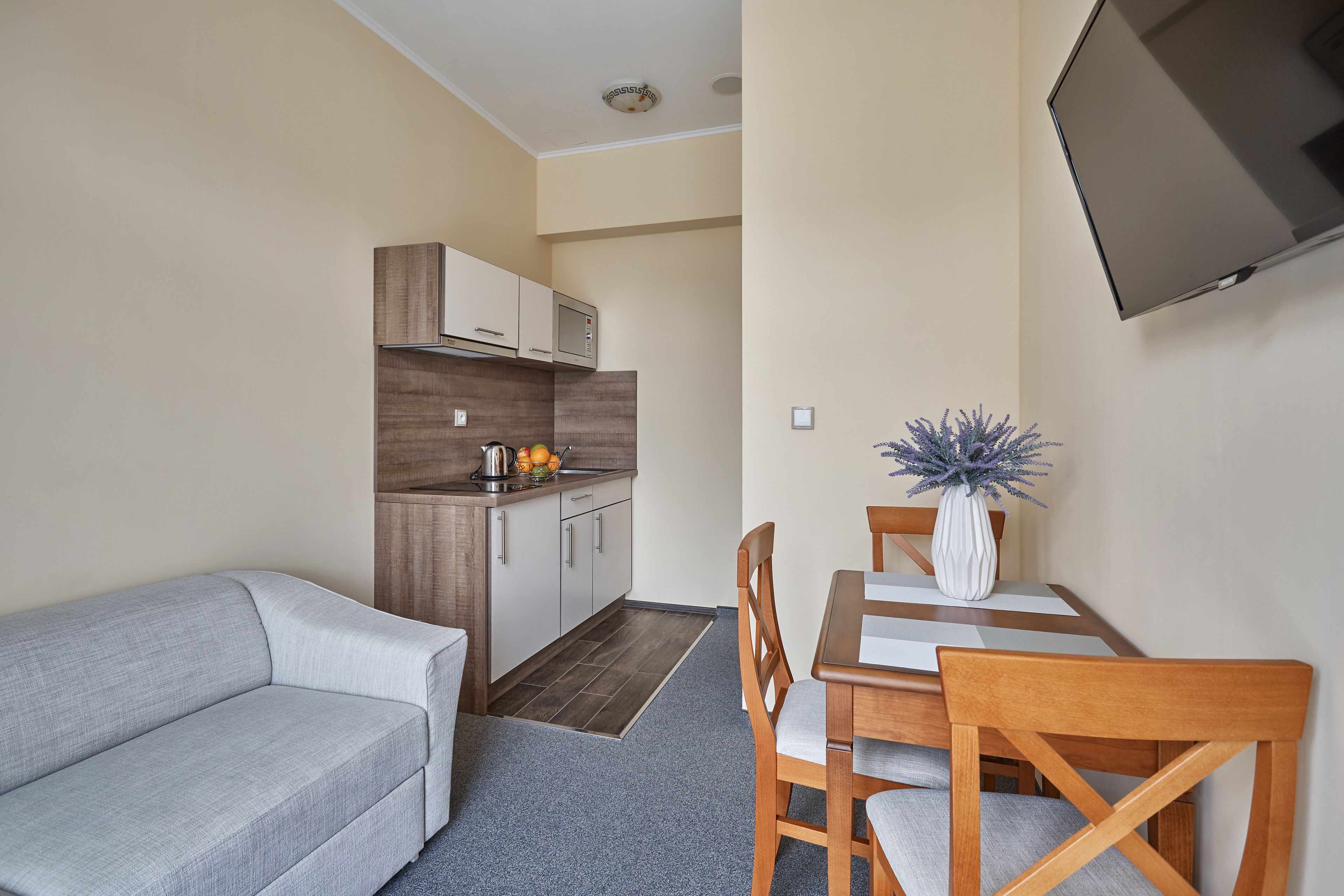 family apartment, 1 king bed with sofa bed, kitchen | private kitchen