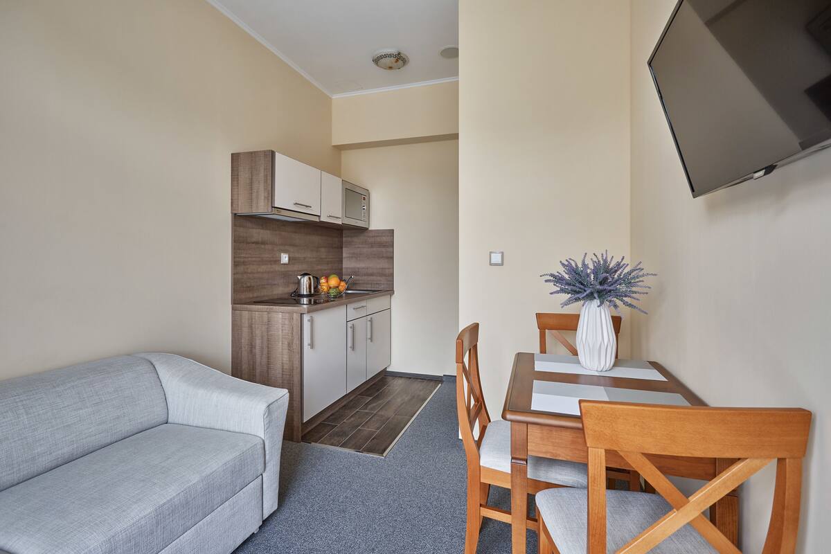 family apartment, 1 king bed with sofa bed, kitchen | private kitchen