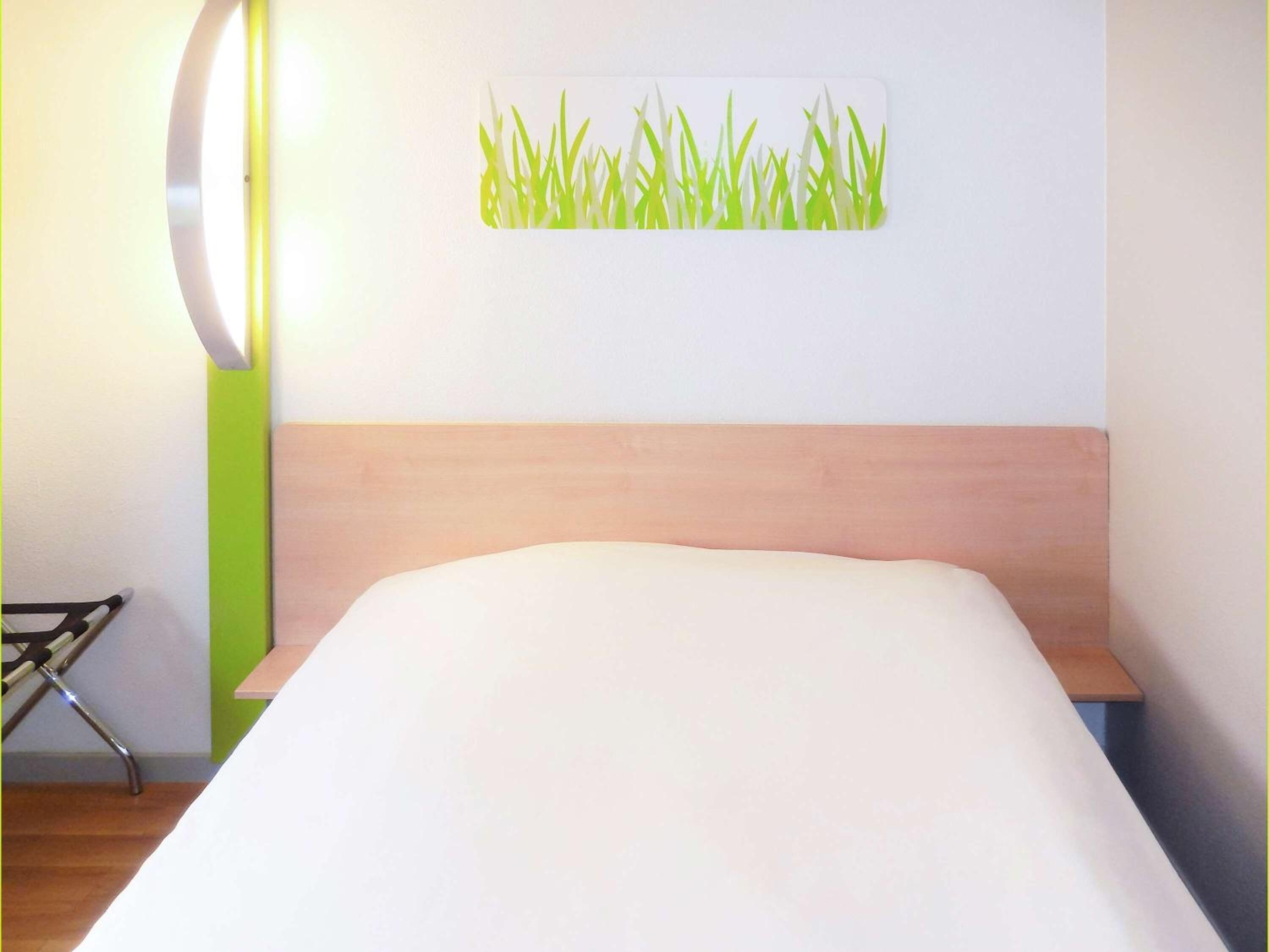 A neatly made bed in a room with a wooden headboard, a green accent wall, and a wall-mounted artwork of grass.