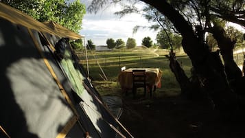 Property grounds