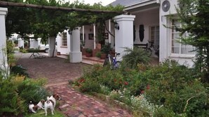 Un jardin avec un chemin en briques menant à une maison blanche ornée de colonnes.