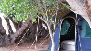 Une tente dotée d’un espace pour dormir, entourée d’arbres et recouverte d’une bâche au sol.