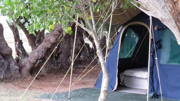 Overnattingsstedets uteområder