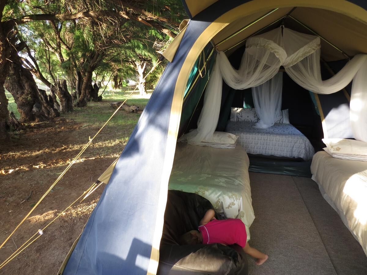 A tent with a canopy, a bed, and a person lying on the ground.