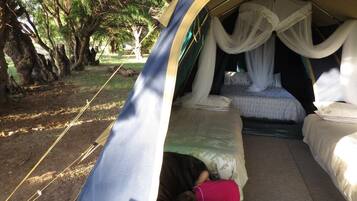 1 bedroom, premium bedding