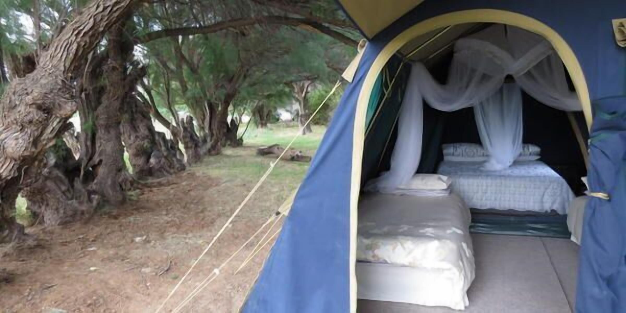 1 habitación y ropa de cama de alta calidad 