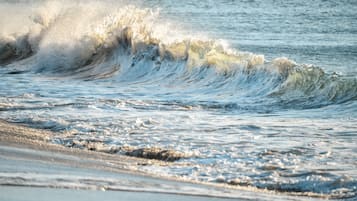 Una spiaggia nelle vicinanze, sabbia scura
