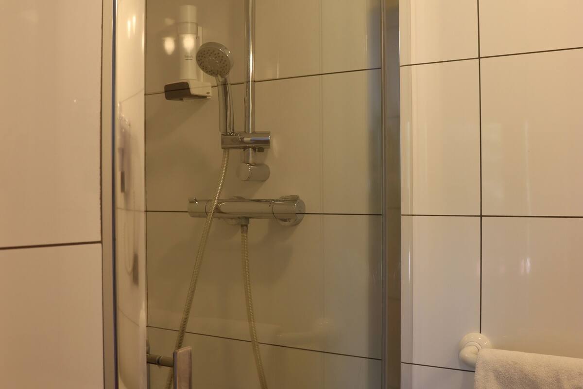 shower, free toiletries, hair dryer, towels