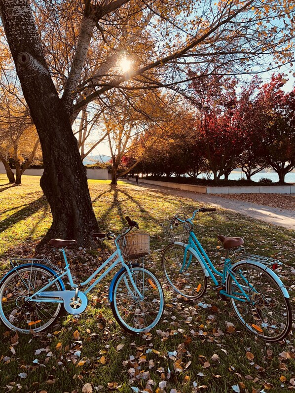Una bicicleta aparcada en un césped con árboles al fondo.
