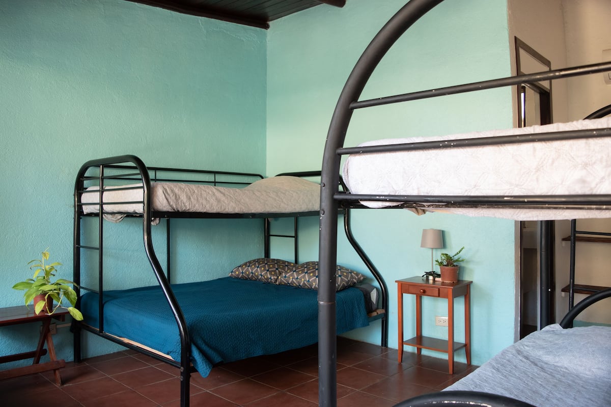 A dormitory room with bunk beds, a small table with a lamp, and a potted plant.