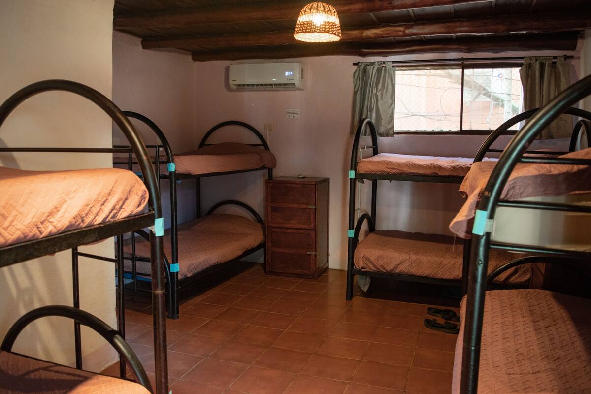 A dormitory room with bunk beds, a wooden dresser, and a window with curtains.
