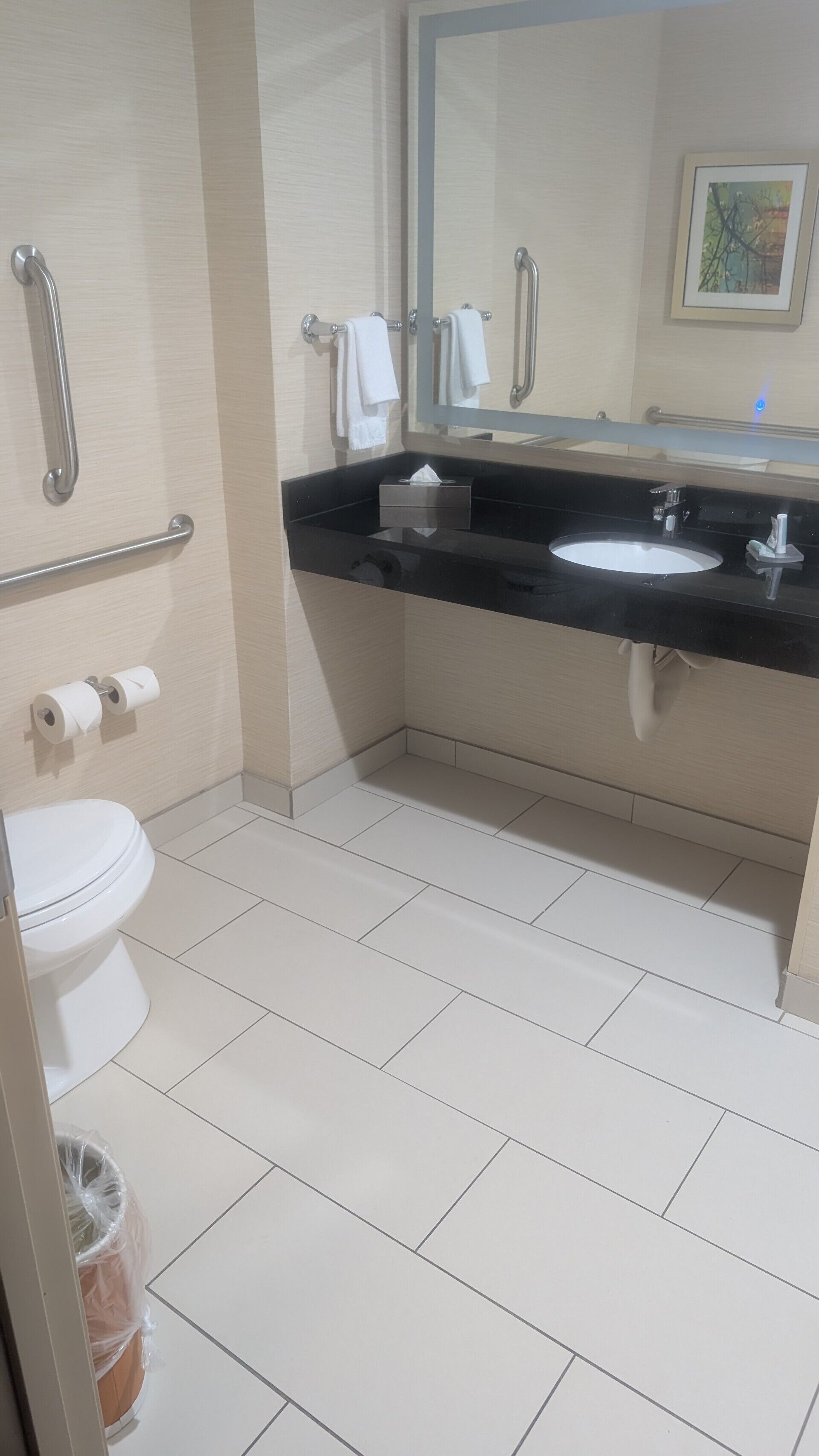 Un baño moderno con inodoro, lavamanos y barras de apoyo.