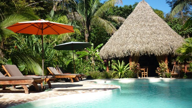 A pool area with lounge chairs, a thatched-roof hut, and tropical vegetation. - Hotel El Pequeño Gecko Verde (Sámara)