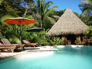 A pool area with lounge chairs, a thatched-roof hut, and tropical vegetation. - Hotel El Pequeño Gecko Verde (Sámara)