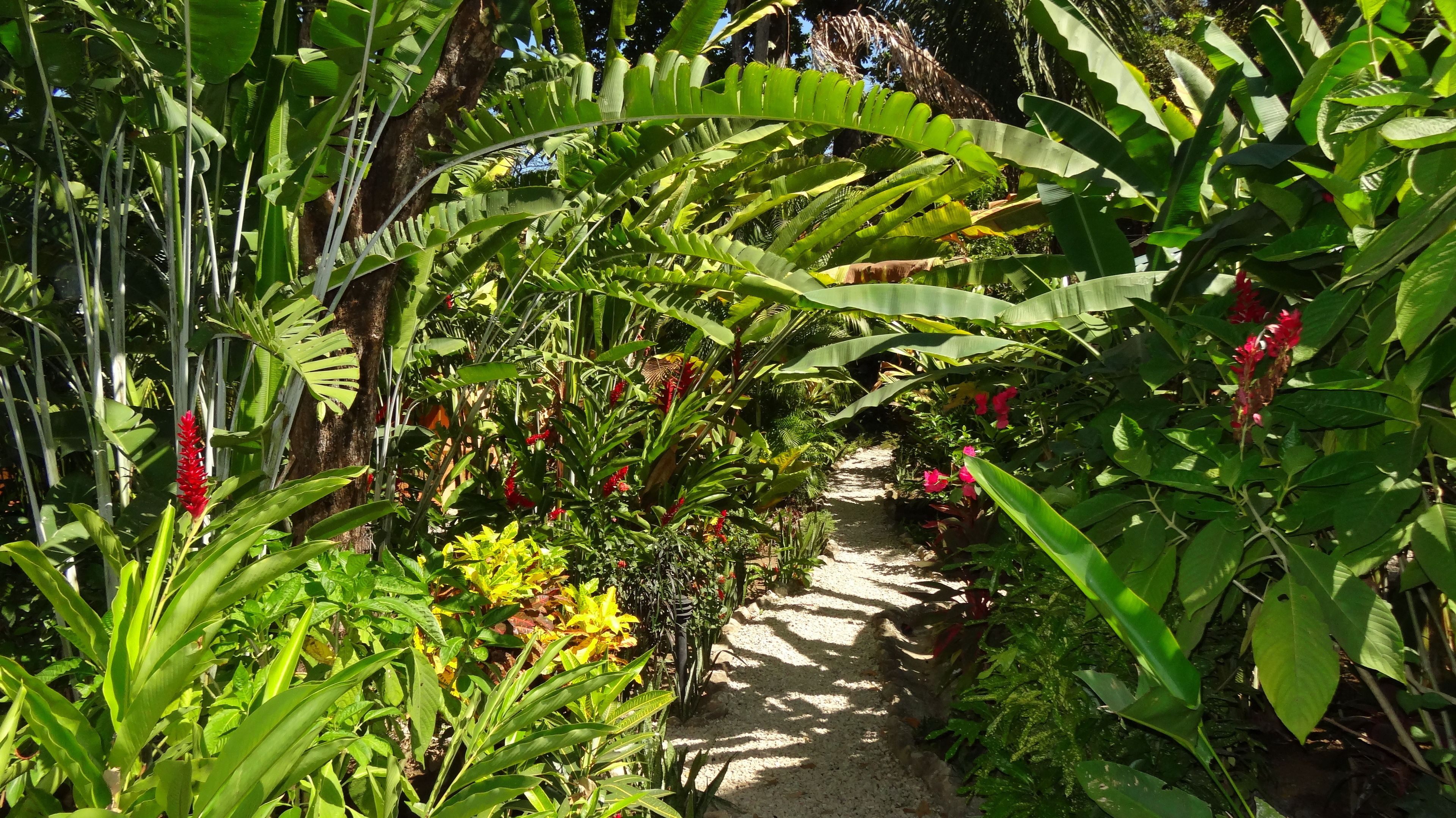 Vista desde la propiedad