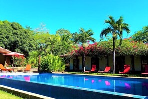Property grounds - Casa Mapache B&B (Tamarindo)
