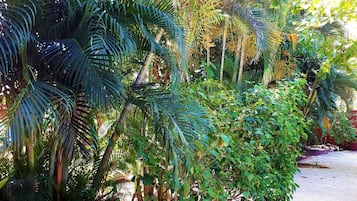 Kamar Double Standar, teras, pemandangan kebun | Taman