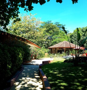 Garden - Casa Mapache B&B (Tamarindo)
