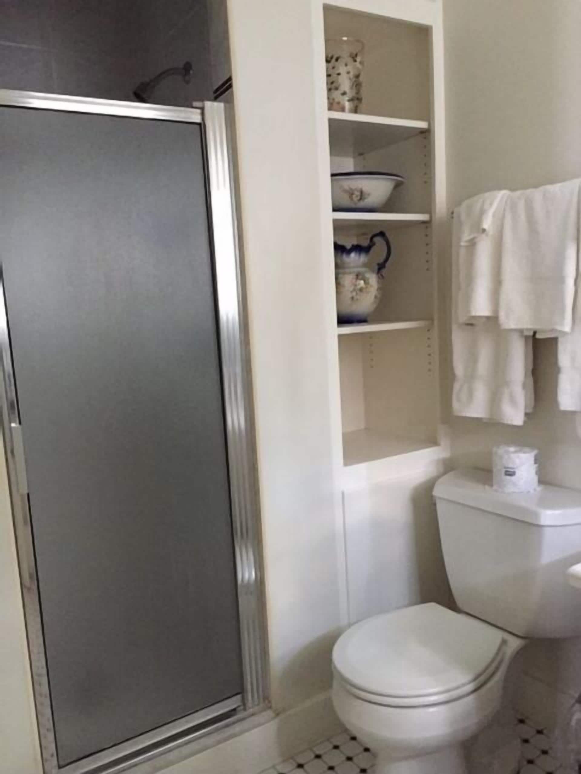 A bathroom with a toilet, a shelf with decorative items, and a shower enclosure.