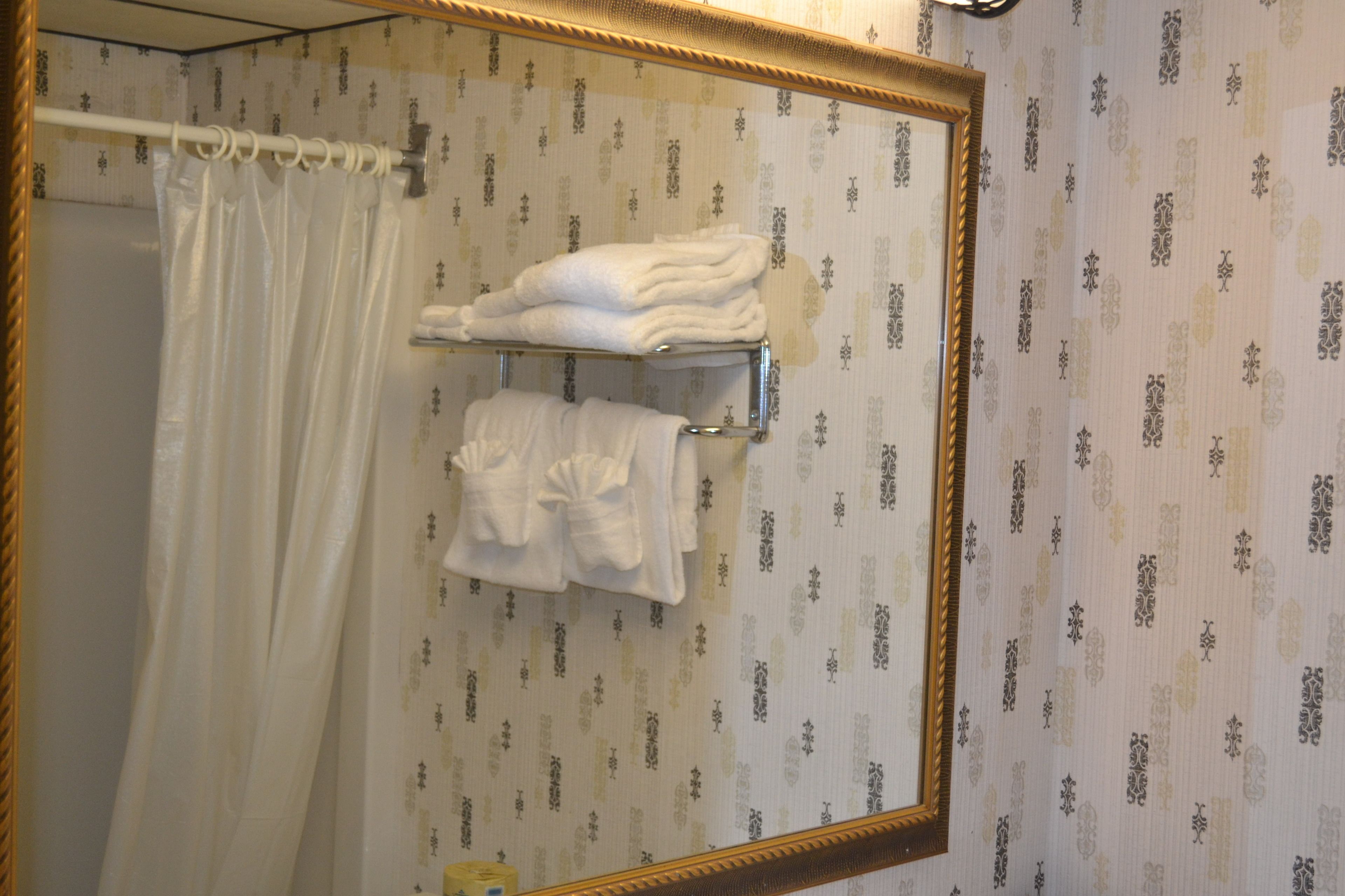 Une salle de bain avec un rideau de douche, un porte-serviettes avec des serviettes pliées et un miroir doté d’un cadre décoratif.