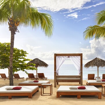 A beach resort with wooden lounge chairs, a canopy bed, and palm trees.