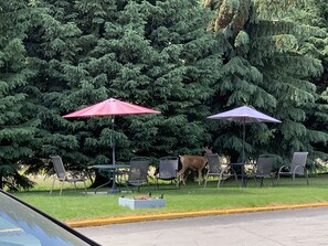 Vista frontal de la propiedad