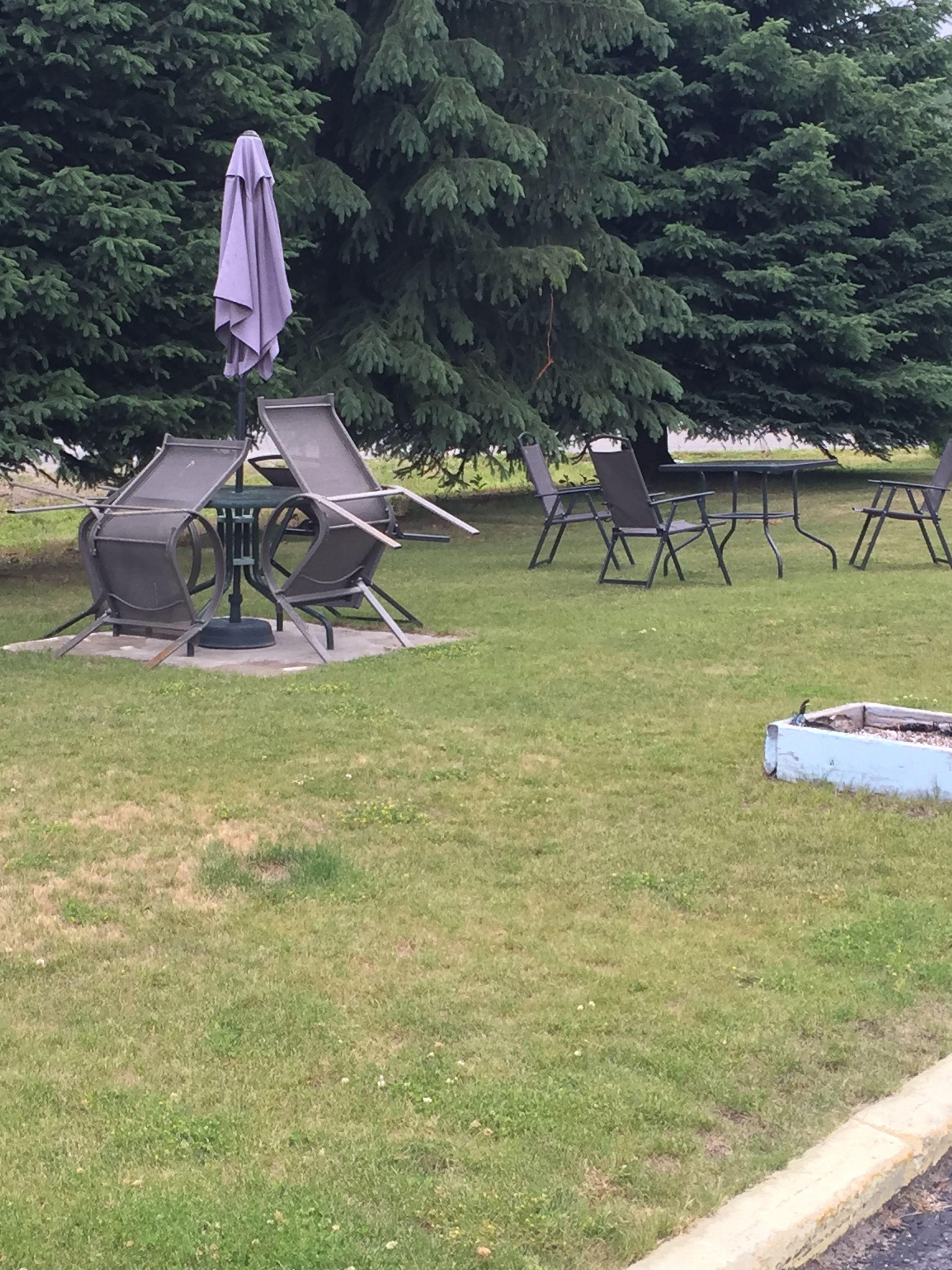 Grill-/picnicområde