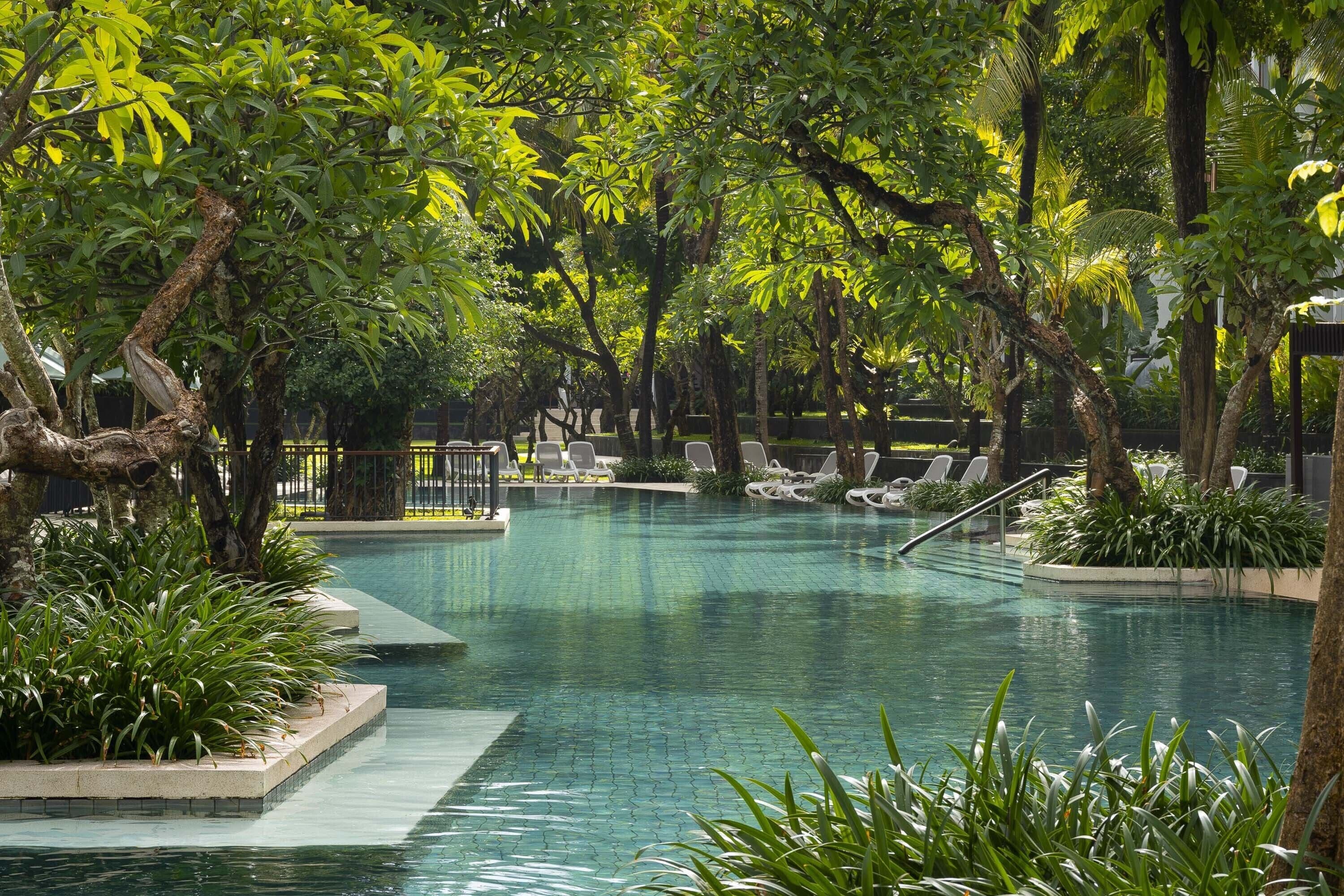 Una piscina interior rodeada de abundante vegetación y árboles.