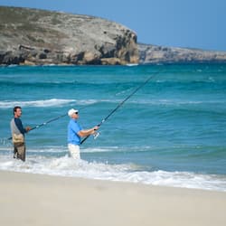 Pesca