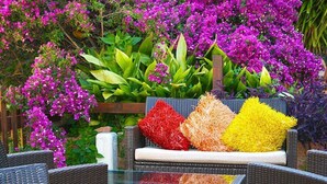 Teres/patio