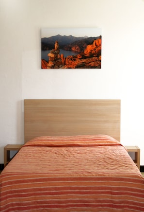 In-room safe, desk, free WiFi, bed sheets - Hotel Colombo (Ota)