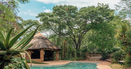 Bushman Rock Safaris