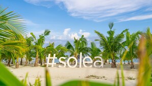 Una playa con palmeras y el hashtag #solea visible en la arena.