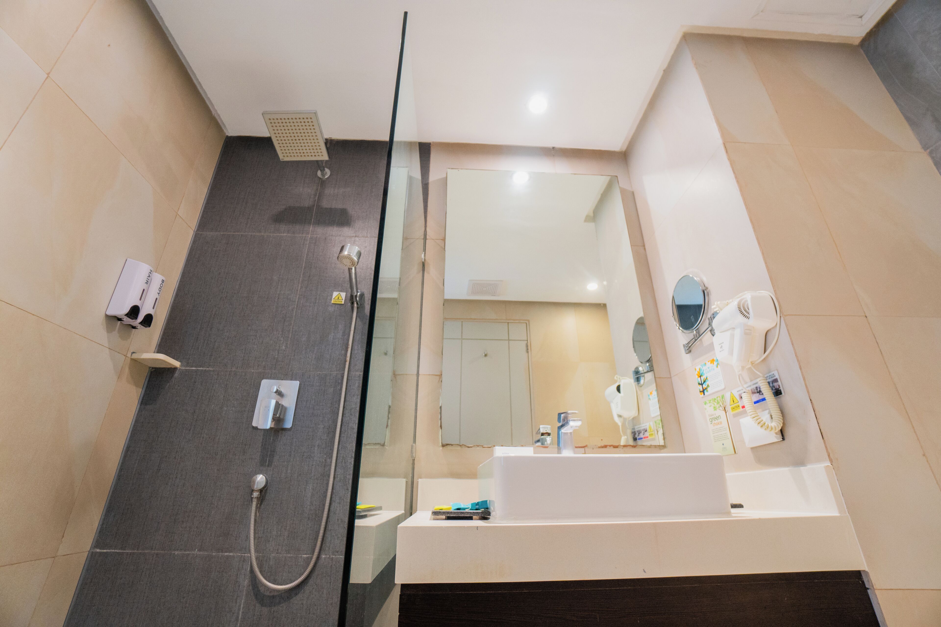 A modern bathroom with a glass shower enclosure, a white sink, and a large mirror.