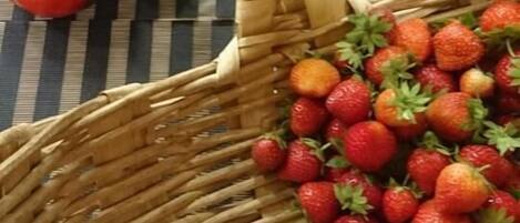 Un panier rempli de fraises et de tomates, posé sur une nappe à rayures.