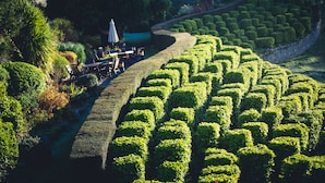 A neatly trimmed hedge maze with a stone wall on one side and a paved path leading through it. - Netherwood Hotel & Spa (Grange-over-Sands)