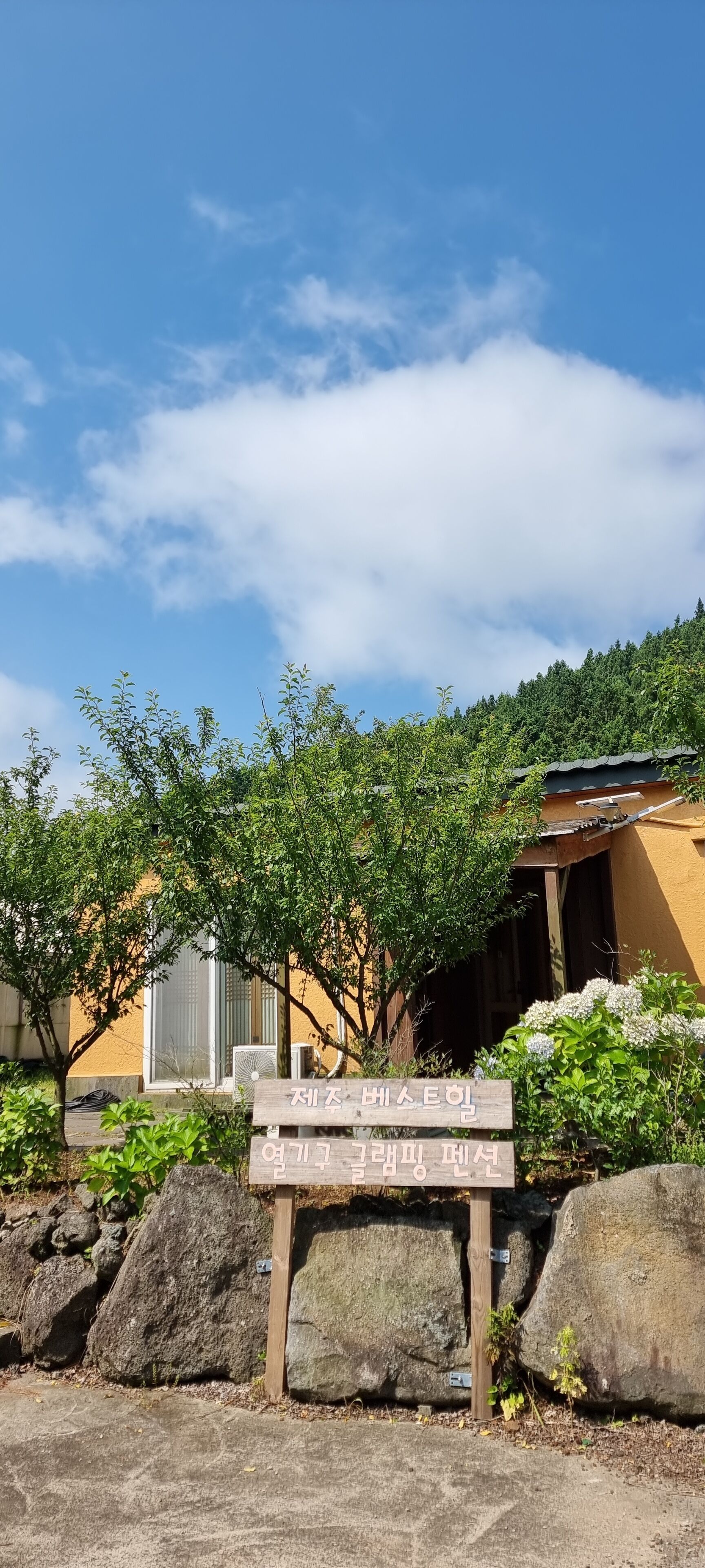 Photo - Jeju Best Hill